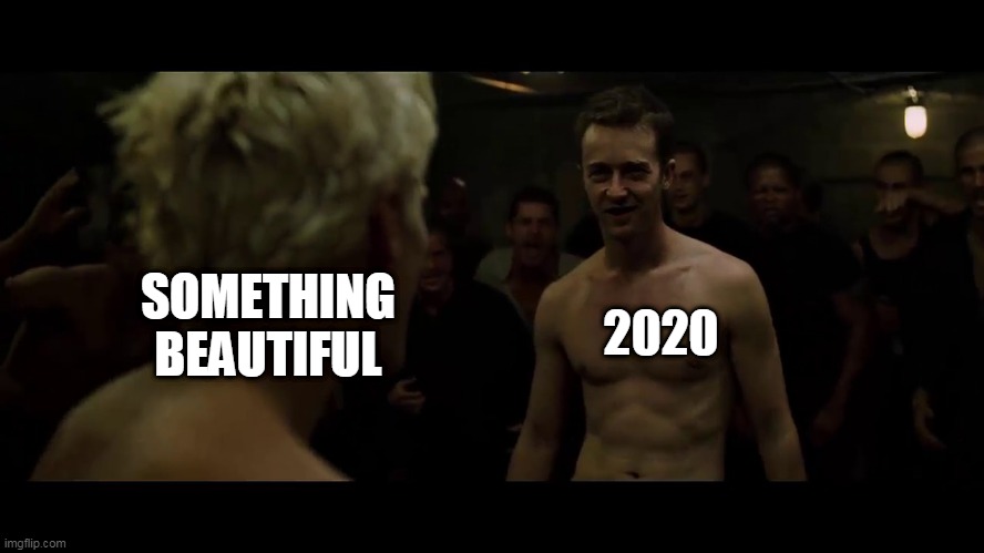 2020 felt like destroying something beautiful | 2020; SOMETHING BEAUTIFUL | image tagged in 2020,fight club | made w/ Imgflip meme maker