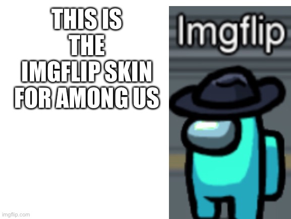 I made it | THIS IS THE IMGFLIP SKIN FOR AMONG US | image tagged in blank white template | made w/ Imgflip meme maker