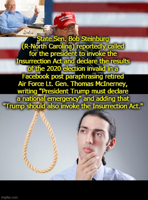 Is this America?  Is this happening? | State Sen. Bob Steinburg (R-North Carolina) reportedly called for the president to invoke the Insurrection Act and declare the results of the 2020 election invalid in a Facebook post paraphrasing retired Air Force Lt. Gen. Thomas McInerney, writing "President Trump must declare a national emergency" and adding that "Trump should also invoke the Insurrection Act." | image tagged in maga,cult | made w/ Imgflip meme maker