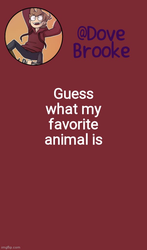 *vibes* | Guess what my favorite animal is | image tagged in dove's new announcement template | made w/ Imgflip meme maker