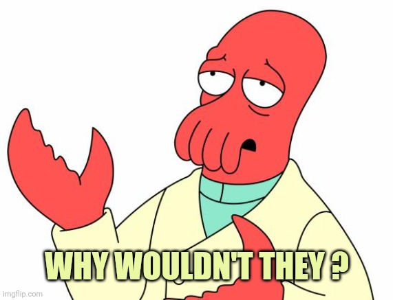 Futurama Zoidberg Meme | WHY WOULDN'T THEY ? | image tagged in memes,futurama zoidberg | made w/ Imgflip meme maker