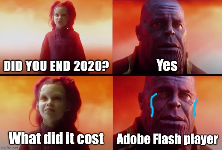 Rip AFP | DID YOU END 2020? Yes; What did it cost; Adobe Flash player | image tagged in thanos what did it cost | made w/ Imgflip meme maker