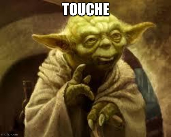 TOUCHE | image tagged in yoda | made w/ Imgflip meme maker