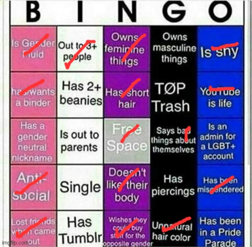 image tagged in gender fluid,bingo | made w/ Imgflip meme maker