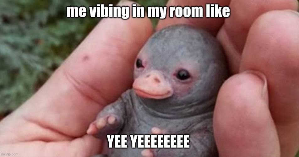 vibin | me vibing in my room like; YEE YEEEEEEEE | image tagged in chilln | made w/ Imgflip meme maker