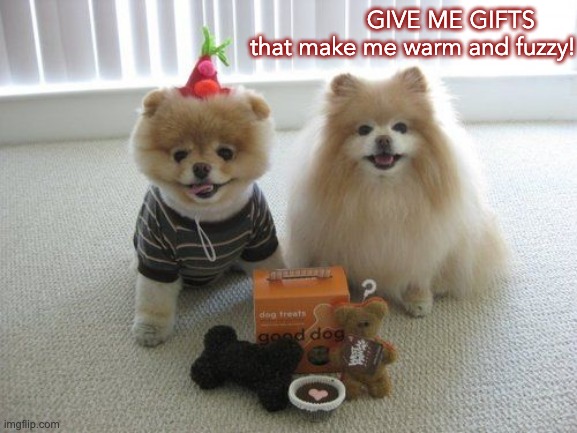 Give Me Gifts... | GIVE ME GIFTS       that make me warm and fuzzy! | image tagged in funny memes,happy holidays | made w/ Imgflip meme maker