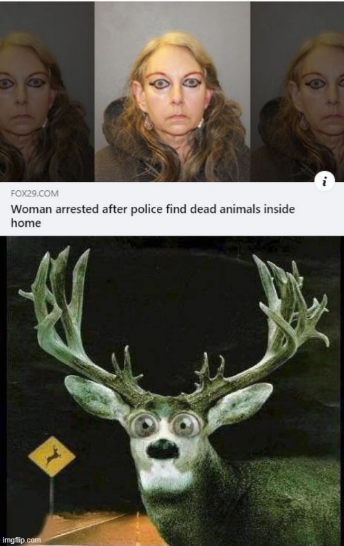 Caught Like A... | image tagged in deer in the headlights | made w/ Imgflip meme maker