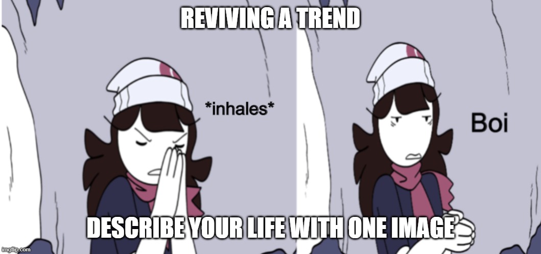 I would use a fat girl, but I'm going dry | REVIVING A TREND; DESCRIBE YOUR LIFE WITH ONE IMAGE | image tagged in jaiden animations boi | made w/ Imgflip meme maker