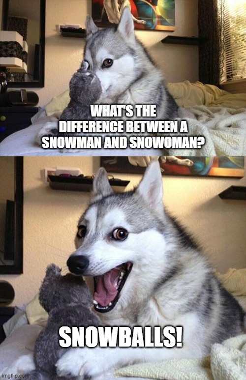 Winter is coming, so... | WHAT'S THE DIFFERENCE BETWEEN A SNOWMAN AND SNOWOMAN? SNOWBALLS! | image tagged in bad joke dog 2 panel | made w/ Imgflip meme maker