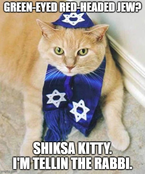 Definite Poser Meshugenah | GREEN-EYED RED-HEADED JEW? SHIKSA KITTY. I'M TELLIN THE RABBI. | image tagged in cat,jewish,hanukkah,shiksa,funny meme | made w/ Imgflip meme maker