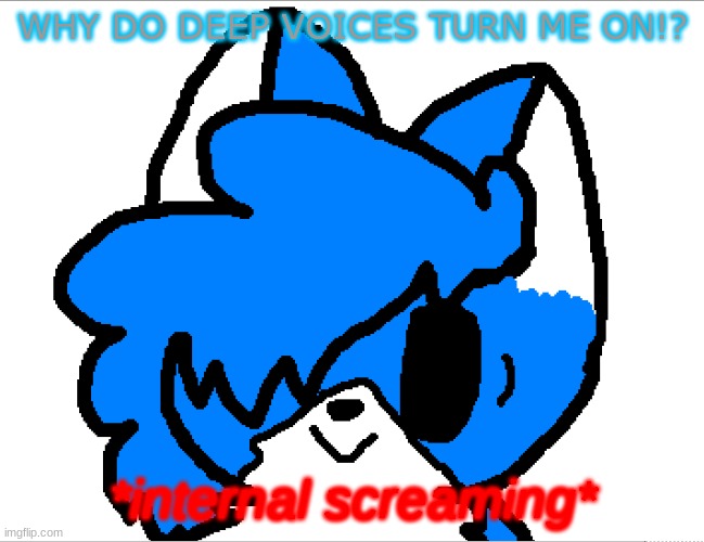 There's something about it that just- *simping furry noises* | WHY DO DEEP VOICES TURN ME ON!? | image tagged in internal screaming clouddays | made w/ Imgflip meme maker