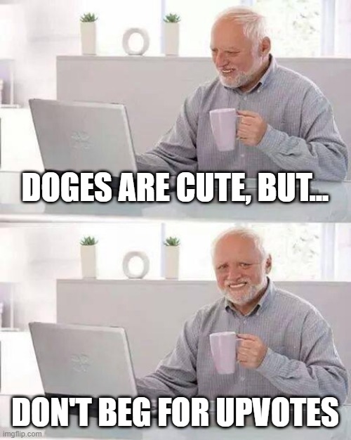 Hide the Pain Harold Meme | DOGES ARE CUTE, BUT... DON'T BEG FOR UPVOTES | image tagged in memes,hide the pain harold | made w/ Imgflip meme maker