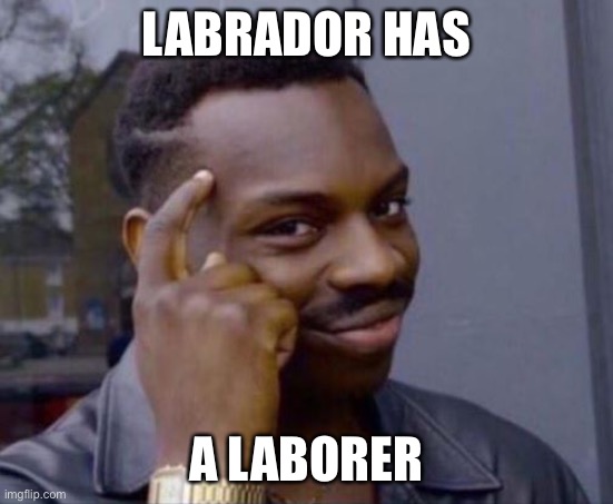 black guy pointing at head | LABRADOR HAS A LABORER | image tagged in black guy pointing at head | made w/ Imgflip meme maker