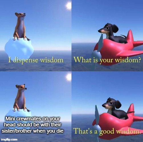 It's a good wisdom | Mini crewmates on your head should be with their sister/brother when you die | image tagged in wisdom dog,among us | made w/ Imgflip meme maker