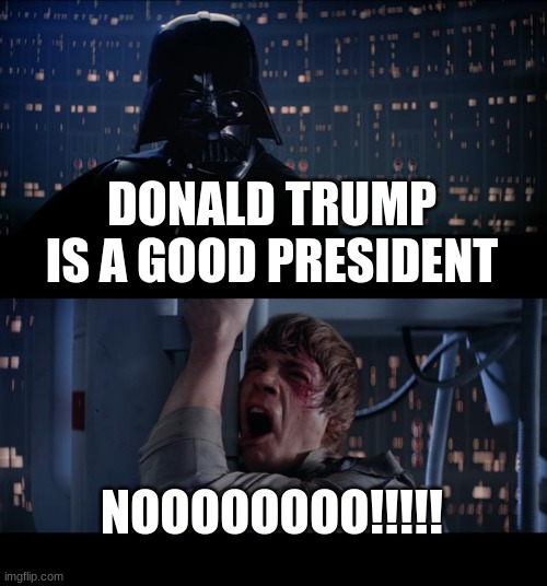 Star Wars No | DONALD TRUMP IS A GOOD PRESIDENT; NOOOOOOOO!!!!! | image tagged in memes,star wars no | made w/ Imgflip meme maker