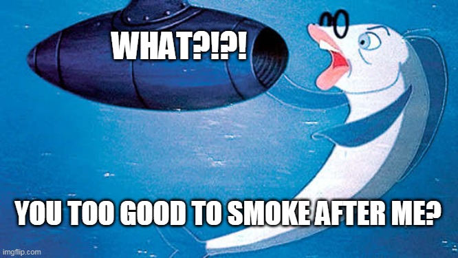 Mister Limpet smoke after me | WHAT?!?! YOU TOO GOOD TO SMOKE AFTER ME? | image tagged in wet cigarette,mister limpet | made w/ Imgflip meme maker