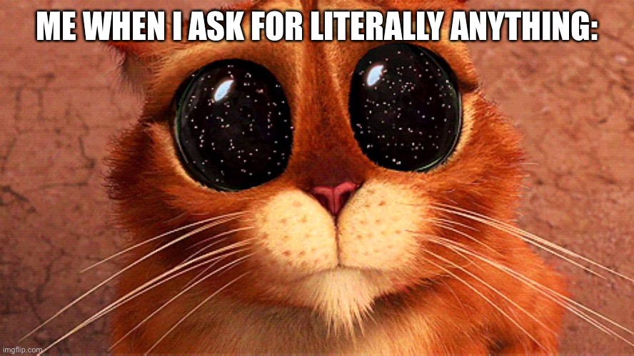 Cute puss in boots | ME WHEN I ASK FOR LITERALLY ANYTHING: | image tagged in cute puss in boots | made w/ Imgflip meme maker