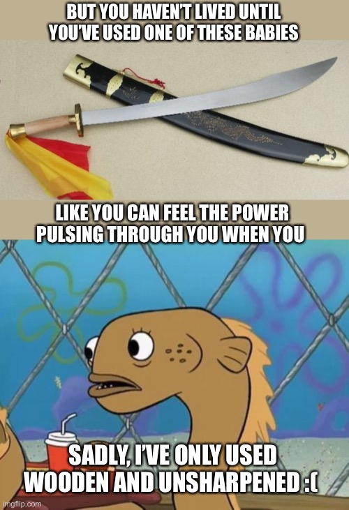 Chinese broad sword | BUT YOU HAVEN’T LIVED UNTIL YOU’VE USED ONE OF THESE BABIES; LIKE YOU CAN FEEL THE POWER PULSING THROUGH YOU WHEN YOU; SADLY, I’VE ONLY USED WOODEN AND UNSHARPENED :( | image tagged in memes,sadly i am only an eel | made w/ Imgflip meme maker