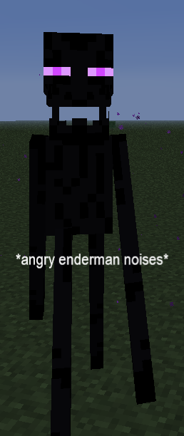 Angry Enderman noises Blank Meme Template