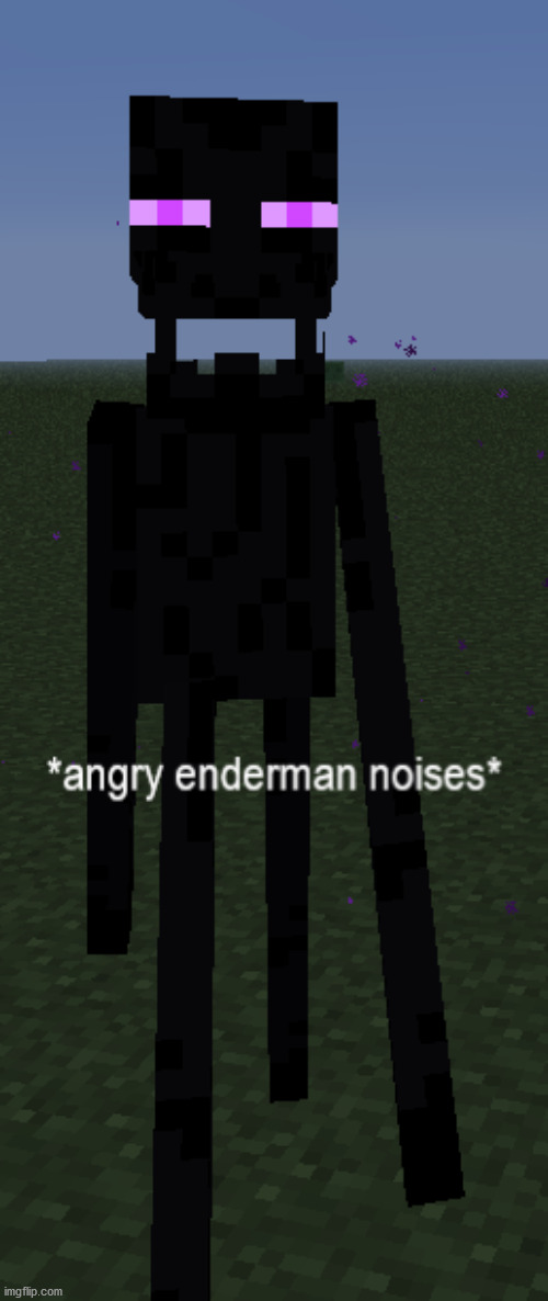 He's mad | image tagged in angry enderman noises | made w/ Imgflip meme maker