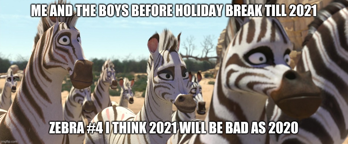 Me and Zebras From Khumba Vs 2021 | ME AND THE BOYS BEFORE HOLIDAY BREAK TILL 2021; ZEBRA #4 I THINK 2021 WILL BE BAD AS 2020 | image tagged in zebra | made w/ Imgflip meme maker