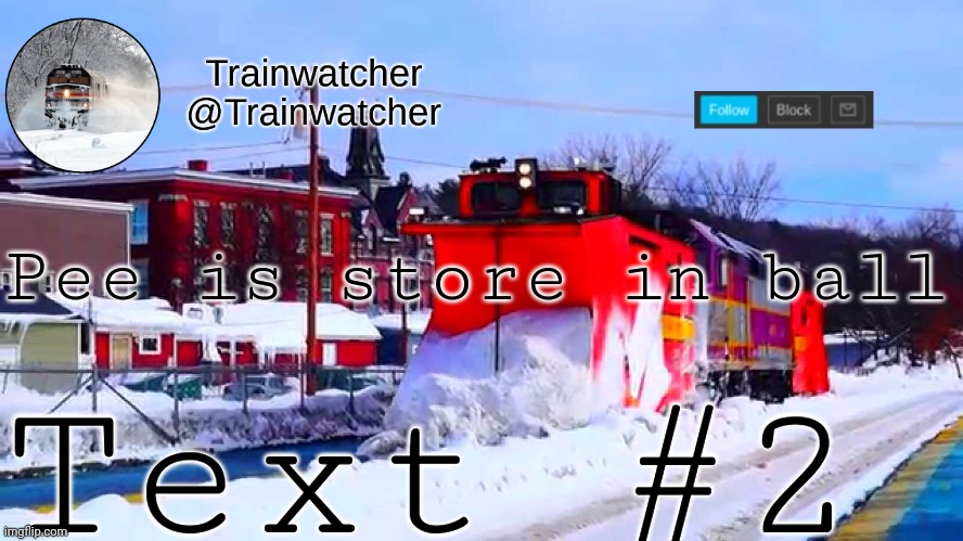 Trainwatcher Winter Temp | Pee is store in ball; Text #2 | image tagged in trainwatcher winter temp | made w/ Imgflip meme maker