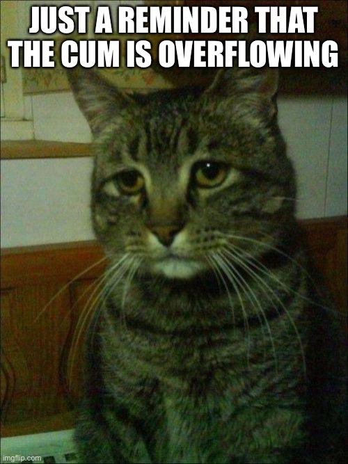 Depressed Cat | JUST A REMINDER THAT THE CUM IS OVERFLOWING | image tagged in memes,depressed cat | made w/ Imgflip meme maker