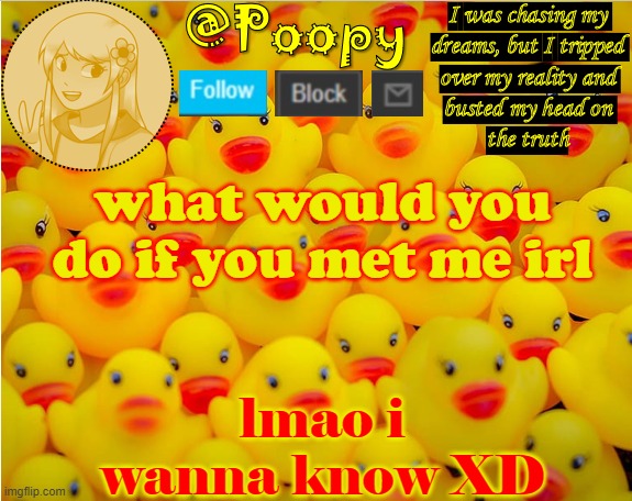 what would you do if you met me irl; lmao i wanna know XD | image tagged in iaintacamel | made w/ Imgflip meme maker