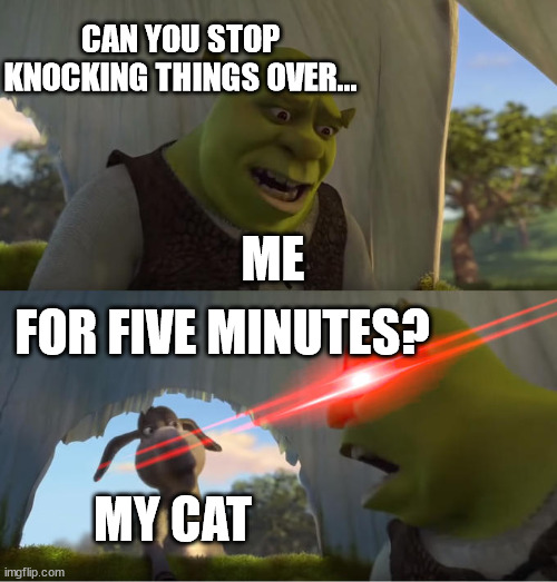 he wont stop knocking things over | CAN YOU STOP KNOCKING THINGS OVER... ME; FOR FIVE MINUTES? MY CAT | image tagged in shrek for five minutes | made w/ Imgflip meme maker