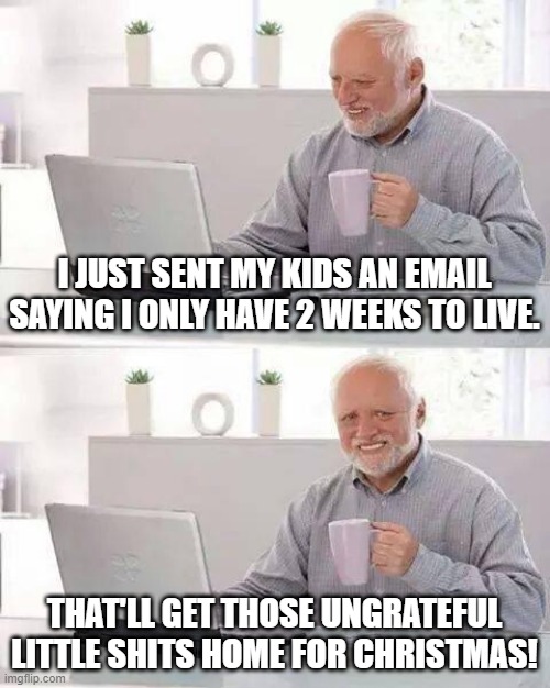 Parenting Hacks | I JUST SENT MY KIDS AN EMAIL SAYING I ONLY HAVE 2 WEEKS TO LIVE. THAT'LL GET THOSE UNGRATEFUL LITTLE SHITS HOME FOR CHRISTMAS! | image tagged in memes,hide the pain harold | made w/ Imgflip meme maker