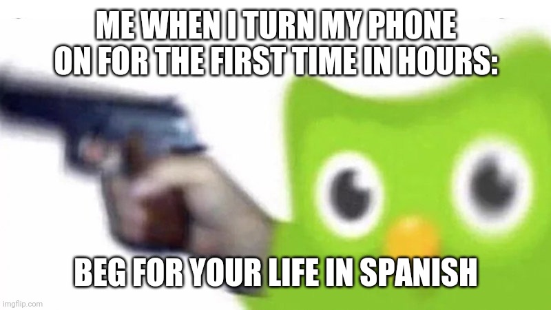 Fun fun fun! | ME WHEN I TURN MY PHONE ON FOR THE FIRST TIME IN HOURS:; BEG FOR YOUR LIFE IN SPANISH | image tagged in duolingo gun | made w/ Imgflip meme maker