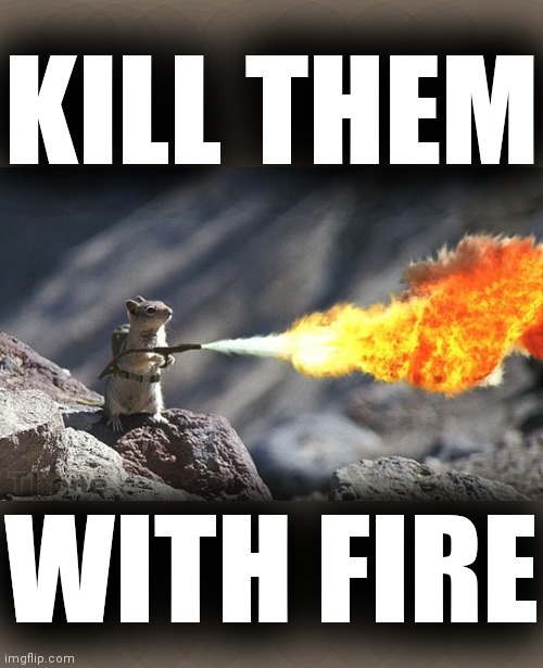 Flame War Squirrel | KILL THEM WITH FIRE | image tagged in flame war squirrel | made w/ Imgflip meme maker