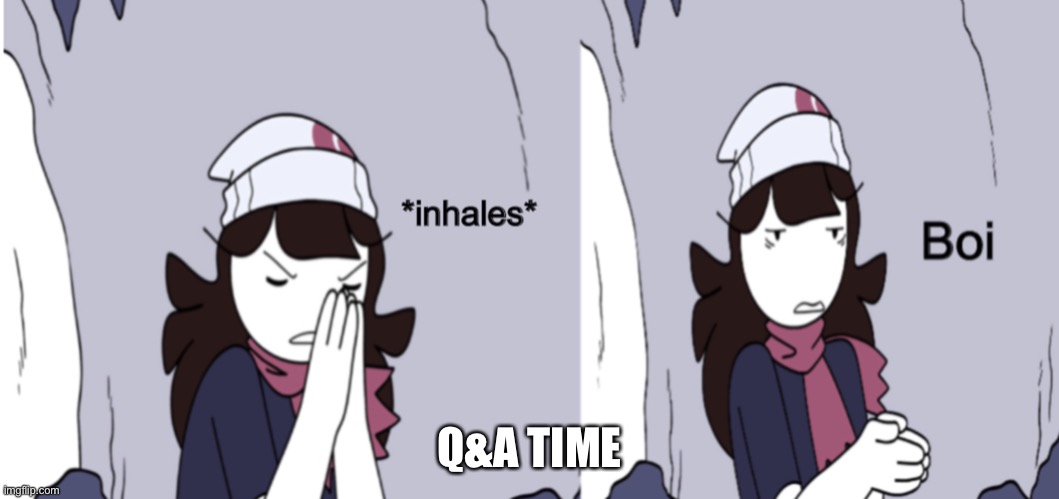 Jaiden Animations boi | Q&A TIME | image tagged in jaiden animations boi | made w/ Imgflip meme maker