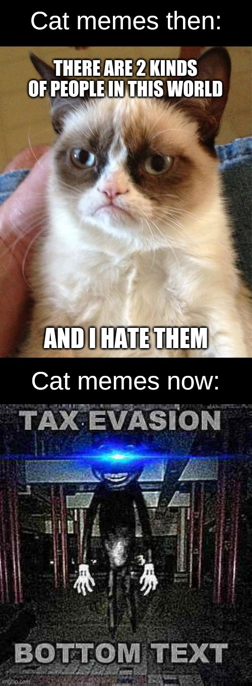 Cat memes then and now |  Cat memes then:; THERE ARE 2 KINDS OF PEOPLE IN THIS WORLD; AND I HATE THEM; Cat memes now: | image tagged in memes,grumpy cat,cartoon cat,trevor henderson,dank memes,deep fried memes | made w/ Imgflip meme maker