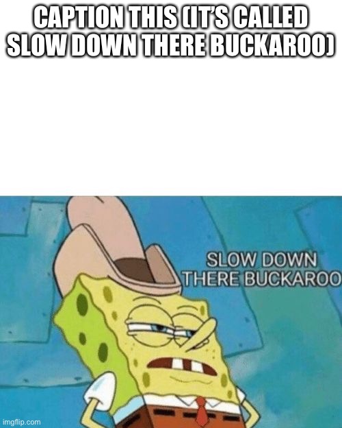 Slow down there buckaroo | CAPTION THIS (IT’S CALLED SLOW DOWN THERE BUCKAROO) | image tagged in slow down there buckaroo | made w/ Imgflip meme maker