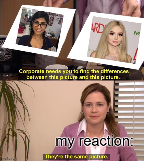 wtf | my reaction: | image tagged in memes,they're the same picture | made w/ Imgflip meme maker