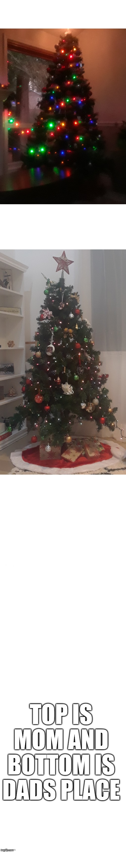 Merry Eaarly Christmas MSMG :) | TOP IS MOM AND BOTTOM IS DADS PLACE | image tagged in long white template | made w/ Imgflip meme maker