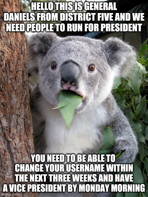 Surprised Koala | HELLO THIS IS GENERAL DANIELS FROM DISTRICT FIVE AND WE NEED PEOPLE TO RUN FOR PRESIDENT; YOU NEED TO BE ABLE TO  CHANGE YOUR USERNAME WITHIN THE NEXT THREE WEEKS AND HAVE A VICE PRESIDENT BY MONDAY MORNING | image tagged in memes,surprised koala | made w/ Imgflip meme maker