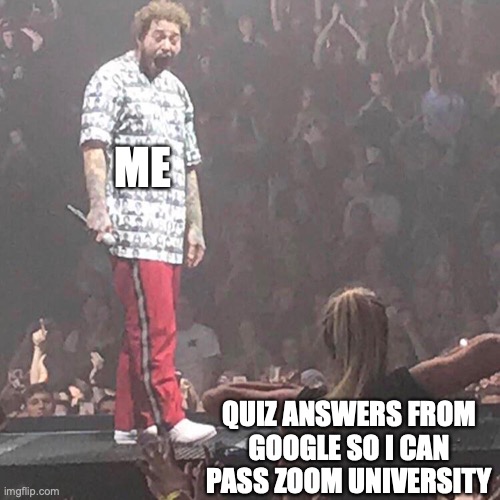 Post Malone happy | ME; QUIZ ANSWERS FROM GOOGLE SO I CAN PASS ZOOM UNIVERSITY | image tagged in post malone happy | made w/ Imgflip meme maker