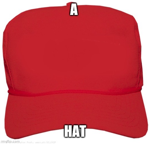 blank red MAGA hat | A HAT | image tagged in blank red maga hat | made w/ Imgflip meme maker
