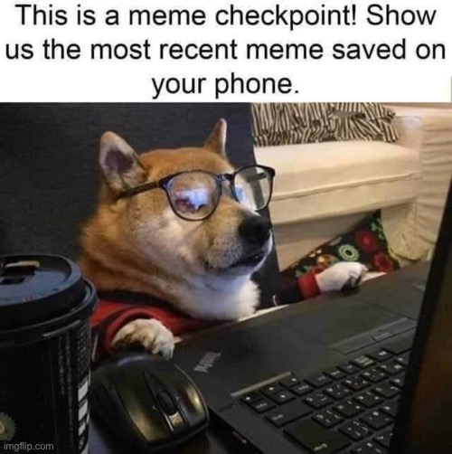 Meme checkpoint doggo — cough it up | image tagged in meme checkpoint,repost,reposts,reposts are awesome,memes about memes,doggo | made w/ Imgflip meme maker