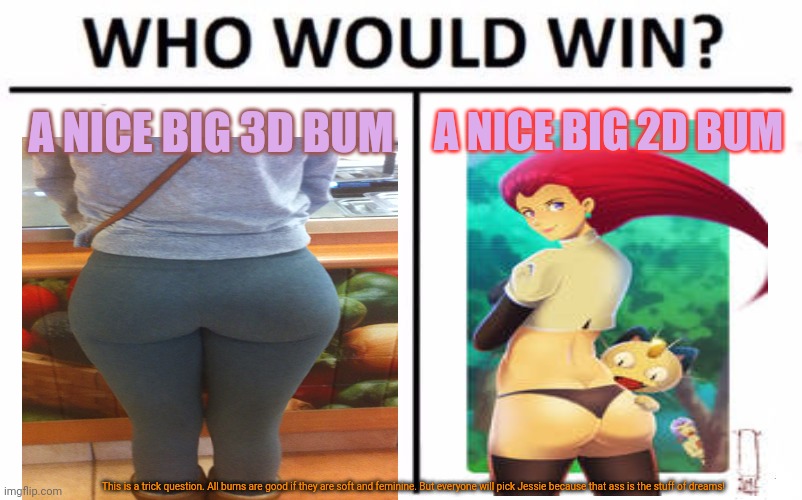 Big bottom waifus! | A NICE BIG 2D BUM; A NICE BIG 3D BUM; This is a trick question. All bums are good if they are soft and feminine. But everyone will pick Jessie because that ass is the stuff of dreams! | image tagged in memes,who would win,big butts,waifu,anime girl,jessie | made w/ Imgflip meme maker
