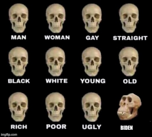 idiot skull | BIDEN | image tagged in idiot skull | made w/ Imgflip meme maker