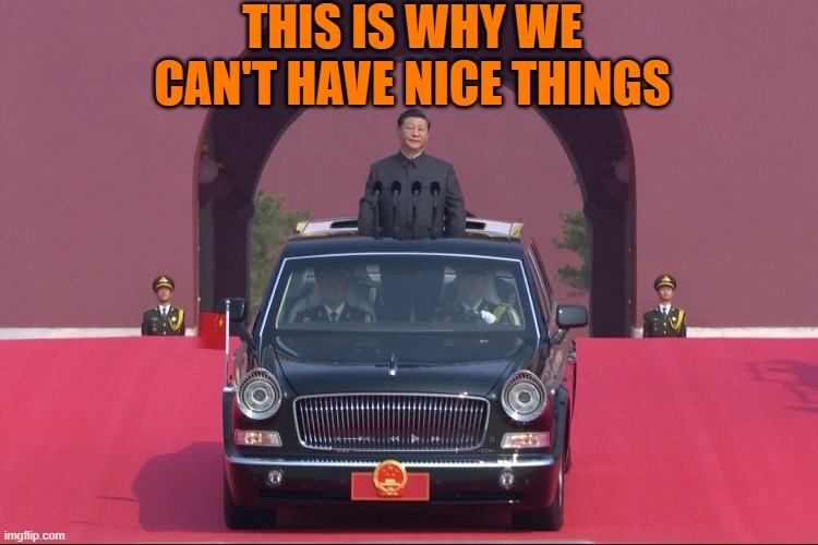This Is Why We Can't Have Nice Things | THIS IS WHY WE CAN'T HAVE NICE THINGS | image tagged in dear leader xi jinping | made w/ Imgflip meme maker