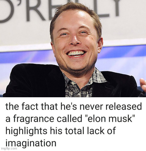 image tagged in elon musk | made w/ Imgflip meme maker