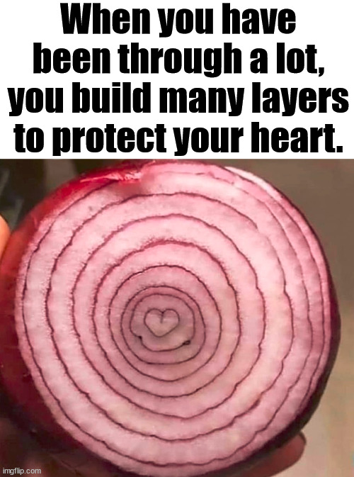 When you have been through a lot, you build many layers to protect your heart. | made w/ Imgflip meme maker