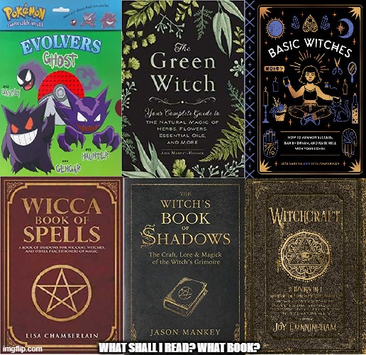 What shall you read in these Halloween Series? | WHAT SHALL I READ? WHAT BOOK? | image tagged in happy halloween,books,so much books,halloween,challenge | made w/ Imgflip meme maker