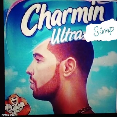 Charmin ultra simp | image tagged in charmin ultra simp | made w/ Imgflip meme maker