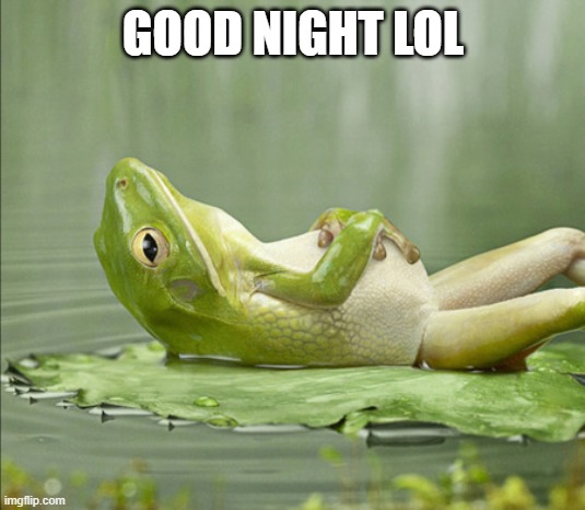 FROG GOOD NIGHT | GOOD NIGHT LOL | image tagged in frog good night | made w/ Imgflip meme maker