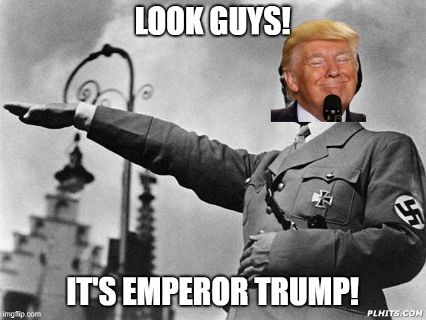 hitler | LOOK GUYS! IT'S EMPEROR TRUMP! | image tagged in hitler | made w/ Imgflip meme maker